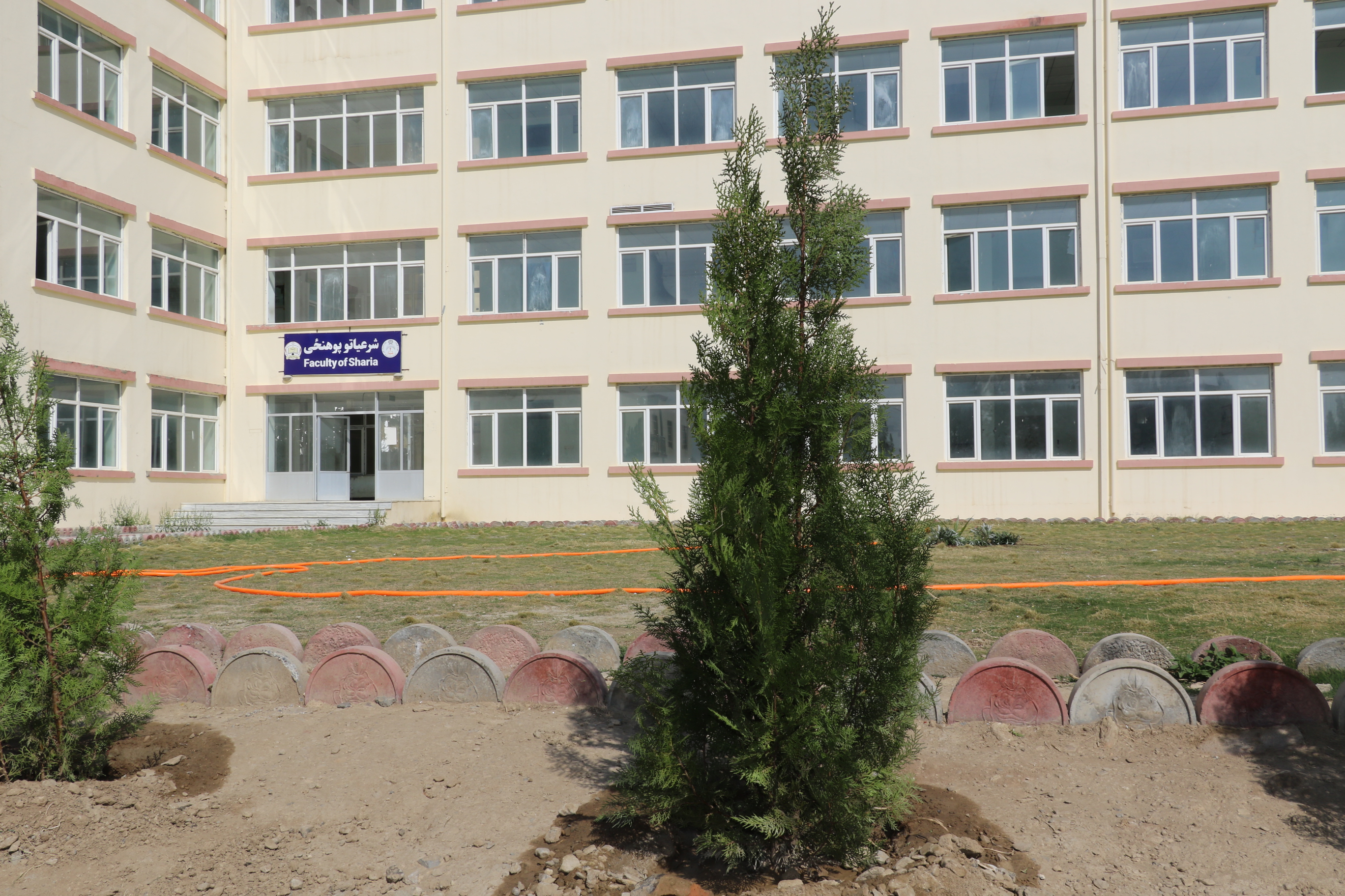 رزلیسالیقفلبی